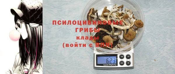 амф Алзамай